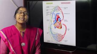 Lecture On Lymphatic System [upl. by Moon]