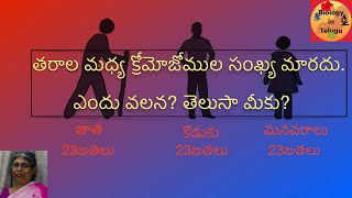 Meiosis in Telugu  class 10 unit ప్రత్యుత్పత్తి [upl. by Navaj380]