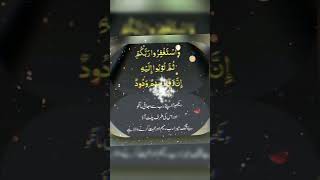 ڈاکٹر اسرار احمد سورہ ھود آیت 90 تلاوت و ترجمہ  Surah Al Hud 90  Quran Majid قرآن مجید ytshorts [upl. by Olimpia143]