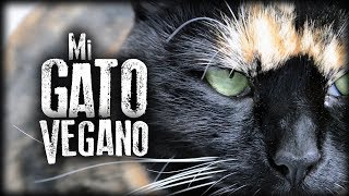 Mi Gato Vegano [upl. by Lua]