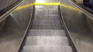 STORE CLOSED Montgomery GampP Escalators At Former Sears EastGate Mall In Cincinnati OH [upl. by Ermeena]