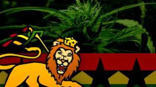 Burro Banton Nah drop di Ting [upl. by Hertberg530]