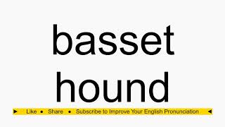 How to pronounce basset hound [upl. by Aicat]