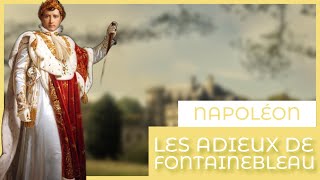 Les adieux de Fontainebleau  Napoléon Bonaparte Documentaire en Français [upl. by Ahsuoj]