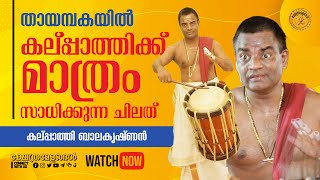 ബാലകൃഷ്ണേട്ടന് മാത്രം പറ്റുന്ന ചിലത്😇❤️👌  Chenda Thayambaka by Kalpathy Balakrishnan [upl. by Matta]