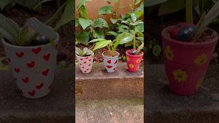 Kulhad plantersmini terracotta planters of my garden youtubeshorts shorts shortsfeed trending [upl. by Marko941]