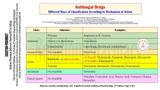 Microbiology 81  Classification of Antifungal Drugs  Mechanism of Action of Antifungal Drugs [upl. by Livi41]