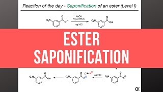 Reaction of the day  ESTER SAPONIFICATION Level I [upl. by Odlaner445]