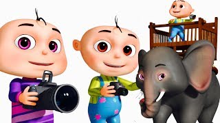 Zool Babies Wild Life Photography Episode Single  Videogyan Kids Shows  Cartoon Animation [upl. by Leon]