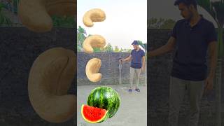 Rounding cashew nut to Grapes Mango lichi amp Watermelon  Fruits names magic video [upl. by Poler348]