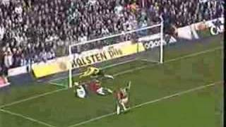 Goal of the season 19992000 Steffen Iversen [upl. by Atiuqnahs390]