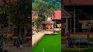 Uthralikavu temple 🙏uthralikavu explorethebeautyofnature nature travel [upl. by Nauqed]