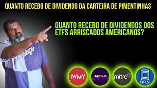 Quanto Recebo de Dividendos Com Minha Carteira De ETFS Americanos e Pimentinhas [upl. by Hamaso797]