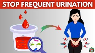 Urinating Every 2 Hours Kidney Concerns And Home Remedies [upl. by Fusuy994]