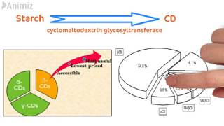 Cyclodextrin in depth [upl. by Miah]