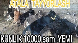 KUNLIK 10000 MING SOM RASXOD ATALA TAYYORLASH JARAYONI TOLIQ [upl. by Sherri692]