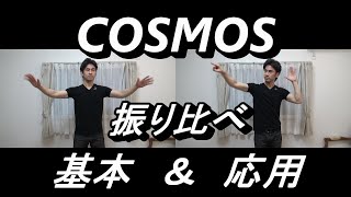 見て学ぶ指揮法・振り比べ「COSMOS」 基本＆応用 [upl. by Mikeb]