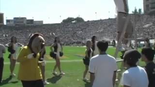 Cal Dance Team Touchdown Celebration [upl. by Hnirt]