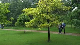 Beautiful campus of DAIICT Gandhinagar [upl. by Allesig145]