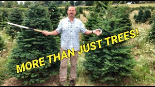 Starting a small acreage Christmas tree farm Things to consider before planting [upl. by Etteuqram]