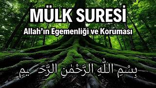 Mülk Suresi Allah’ın Egemenliği ve Koruması  Kuran Dinle [upl. by Schechinger]