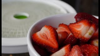 How to Dehydrate Strawberries  Dehydrating with Wisdom Preserved [upl. by Syman853]