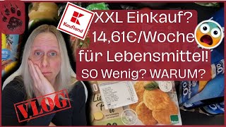 SPAREN extrem günstiger Wocheneinkauf 1461€ 😨Pfand amp ALLES da foodhaul budgetplanung vlog [upl. by Adaiha]