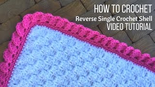 How to Crochet the Reverse Shell Border Using Single Crochet [upl. by Liborio]