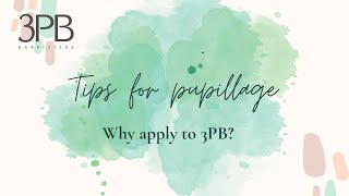 Pupillage at 3PB Barristers  why you should apply [upl. by Lyreb]