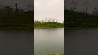 Beautiful Tea Gardens of Assam [upl. by Resay]