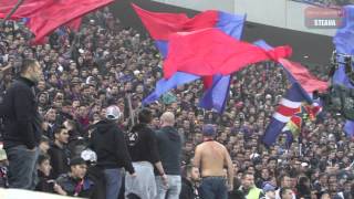 Steaua  Dinamo PN atmosfera [upl. by Jehanna]