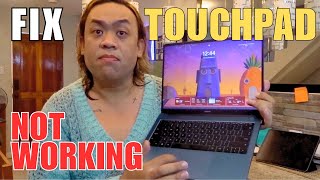 I Fixed the WORST issue on Touchpad from RealMe Book [upl. by Prichard]