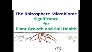 The Rhizosphere Microbiome Significance for Plant Growth and Soil Health [upl. by Gorlin]