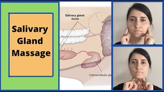 Salivary Gland Massage  Parotid and Submandibular [upl. by Nirrad]