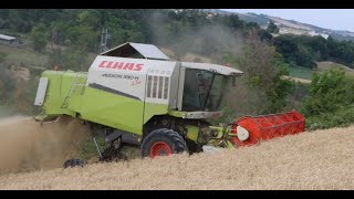 Claas Medion 330H 4Trac Az Agr Flli Di Nicola Harvest Season 2021 [upl. by Oiliruam333]