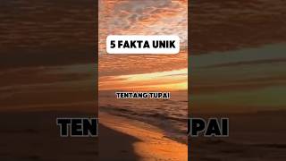 5 Fakta unik yang belum kamu ketahui shorts fakta faktaunik faktamenarik tupai 5faktaunik [upl. by Allehc]