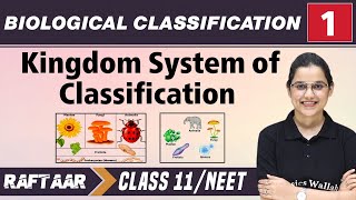 Biological Classification 01  Kingdom System of Classification  Class 11NEET  RAFTAAR [upl. by Fleta183]