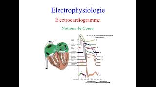 Électrocardiogramme [upl. by Maxwell369]