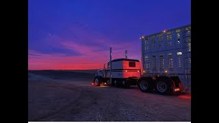 A day in the life of hauling cattle [upl. by Reiner689]