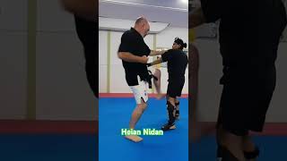 Heian Nidan Bunkai  Options from the opening sequence bunkai karate japanmartialarts [upl. by Karlis666]