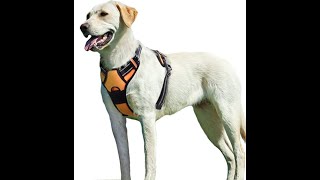 Eagloo Dog Harness [upl. by December460]