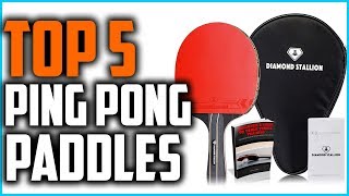 Top 5 Best Ping Pong Paddles In 2020 [upl. by Analed953]