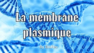 La membrane plasmique  les phospholipides cholestérol les protéines membranaires [upl. by Evers823]