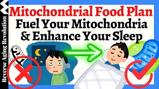 TOP Mitochondrial Foods amp Supplements for Your BEST Sleep [upl. by Etaner]