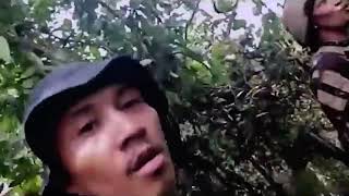 Philippine Army Raids Communist NPA Militant Jungle Camp [upl. by Giuliana]