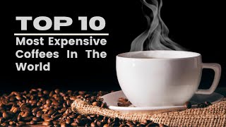 Worlds Most Expensive Coffees [upl. by Haskel]