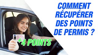 Comment récupérer des points sur son permis de conduire [upl. by Nyleaj]