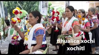 TIHUALICA XOCHITL quotTE TRAEMOS ESTAS FLORESquot CANTO EN NAHUATL [upl. by Mayhew]