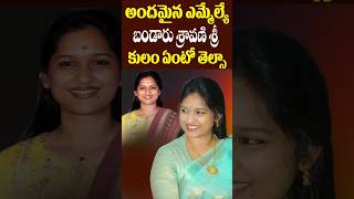 TDP MLA Bandaru Sravani Caste Details  Lifestyle  Singanamala MLA  Tollywood Nagaram [upl. by Llerrom]