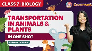 Transportation in Animals and Plants Class 7 Science Biology in OneShot  CBSE Class 7 Exams 2023 [upl. by Letta]